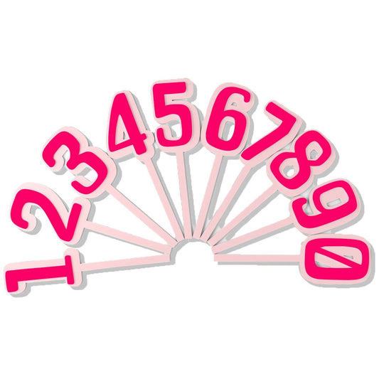 Mini Pale Pink & Hot Pink Number Topper